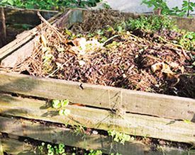Ako správne kompostovať a využiť urýchlovač kompostu?